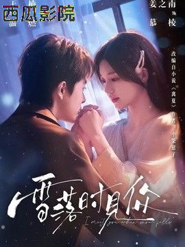 雪落时见你