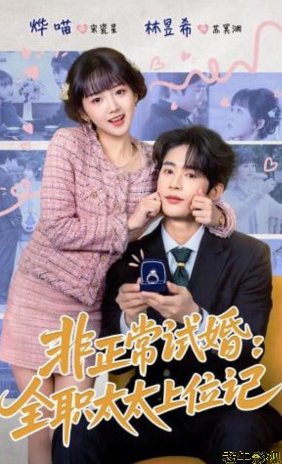 非正常试婚：全职太太上位记